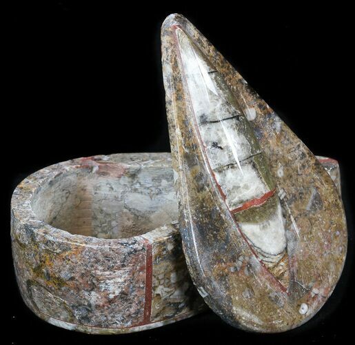 Small Fossil Orthoceras Box (Teardrop) - Stoneware #35219